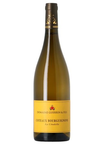 Coteaux bourguignons - Domaine Guerrin